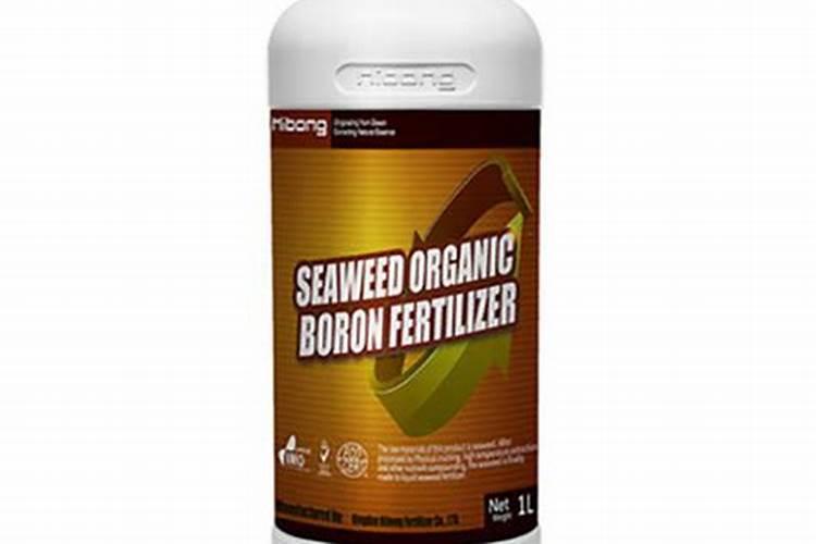揭秘:海藻有机肥到底好不好？