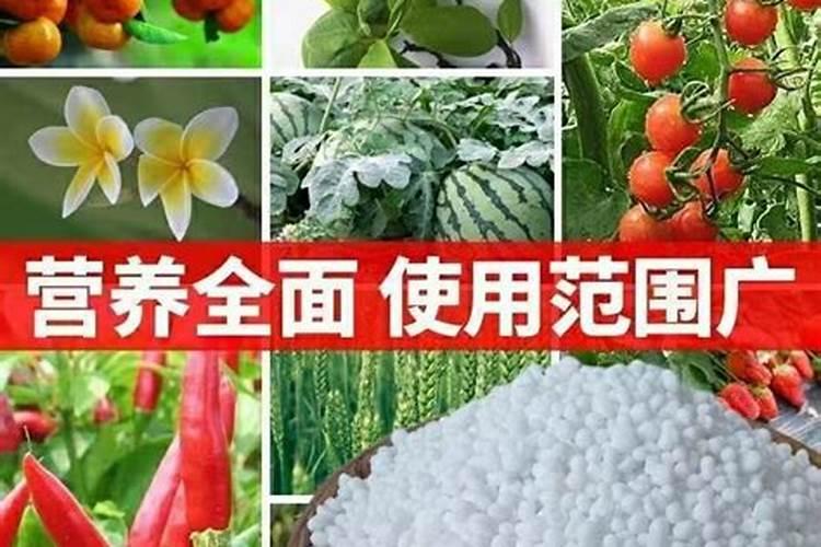 氮磷钾肥料怎么用才能种花