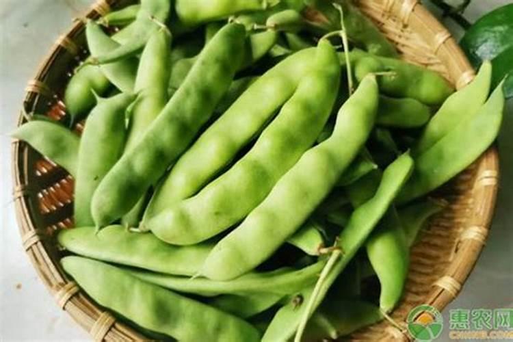 如何种豆角才能长得多？