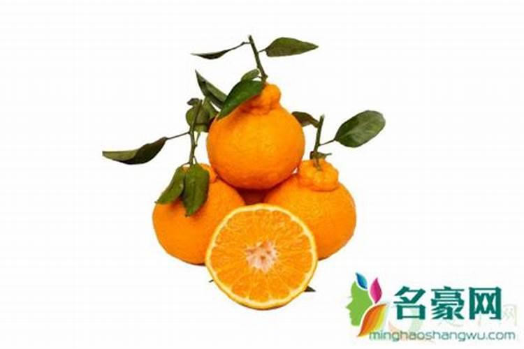 耙耙柑施什么有机肥怎么施肥