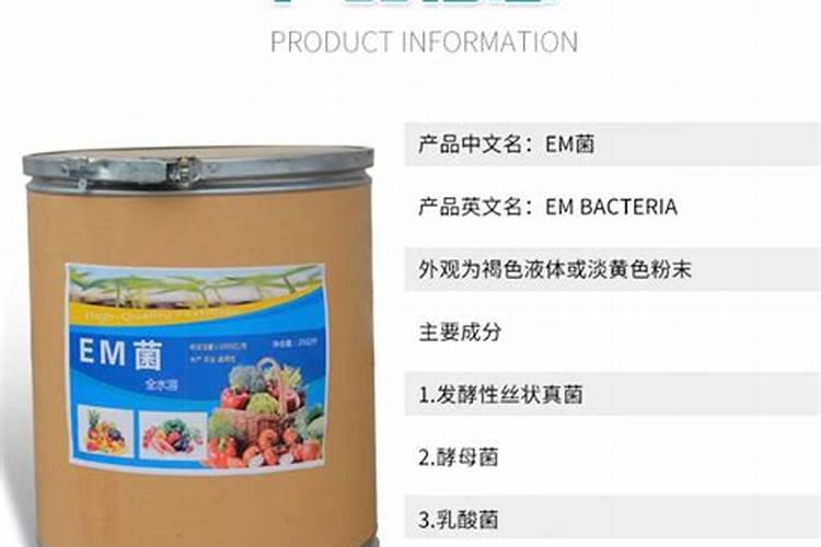 em菌与酵母哪个品种在养猪上应用效果更好