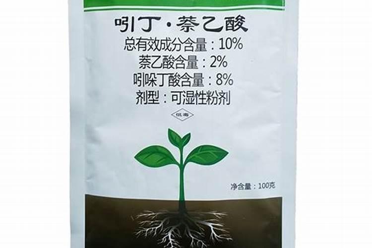 促进扦插生根的五种方法