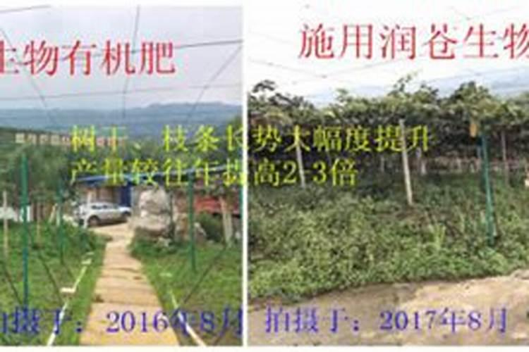 肥料增效剂哪个产品最好