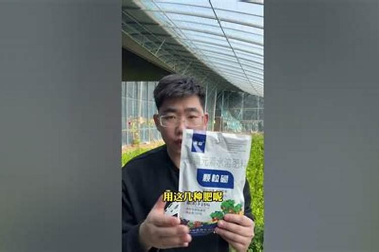 花生喷施硼肥的最佳时间 什么时候喷施最好