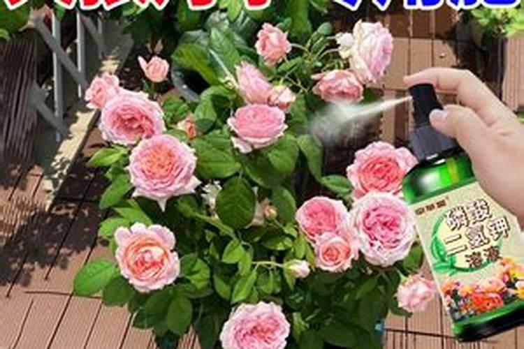 磷酸二氢钾功效与作用