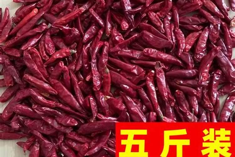 大棚辣椒水肥管理