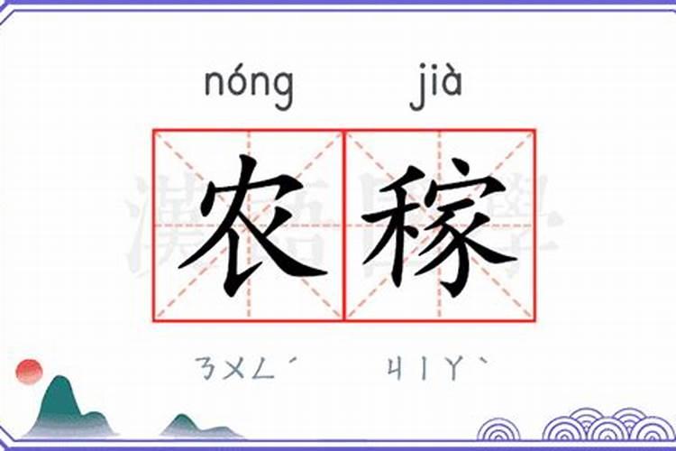 香菜用什么底肥好？香菜冲施肥用哪个？香菜水溶肥用矿源黄腐酸钾黑金晶...