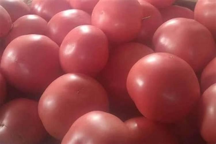 西红柿膨大果实用什么肥好