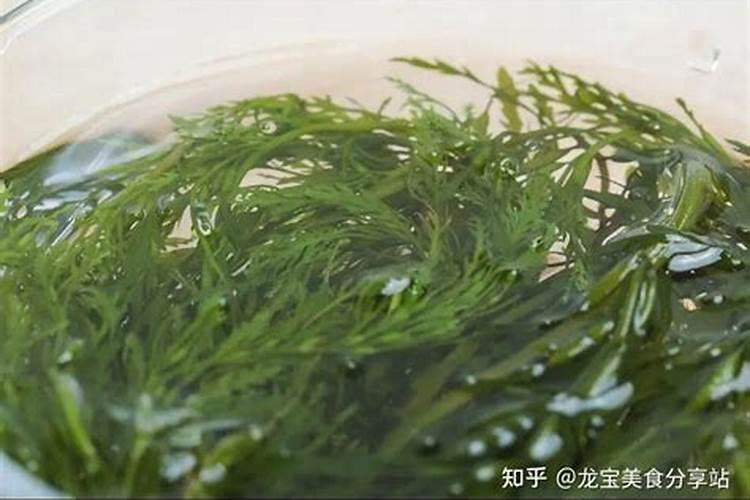 有机肥是什么肥料标准