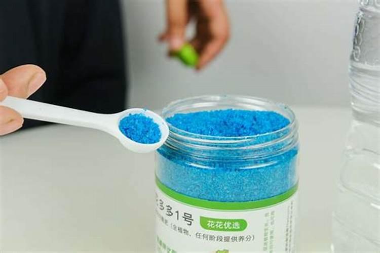 蟹爪兰用什么叶面肥？