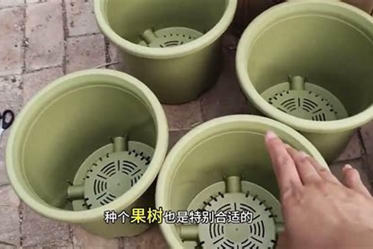 花用复合肥怎么用