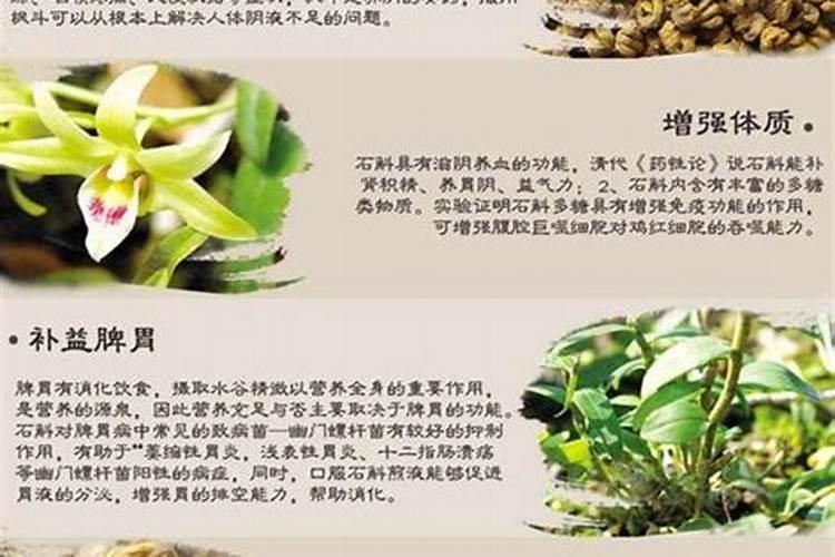 梦幻西游中炼药的配方有什么较好的组合吗？