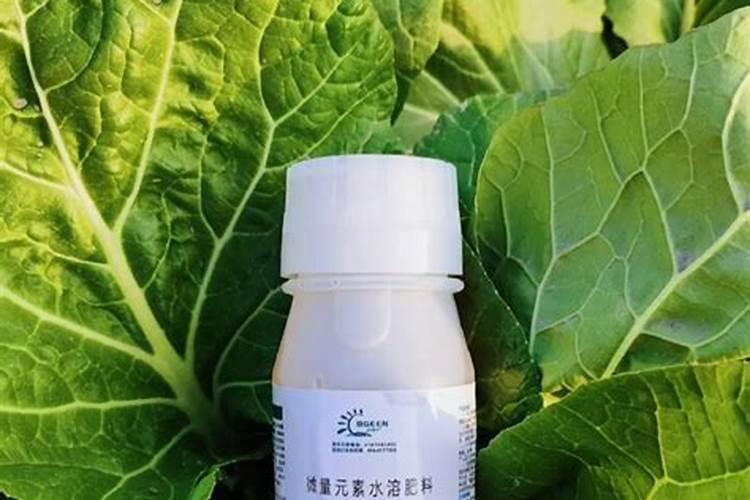 种大白菜用啥肥最好
