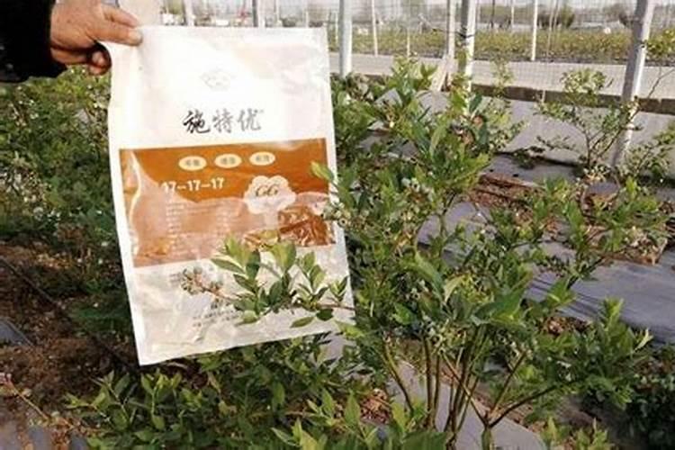 蓝莓专用肥料哪个牌子好