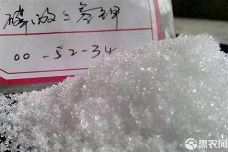 沃柑如何种植能高产 沃柑什么时候种植好