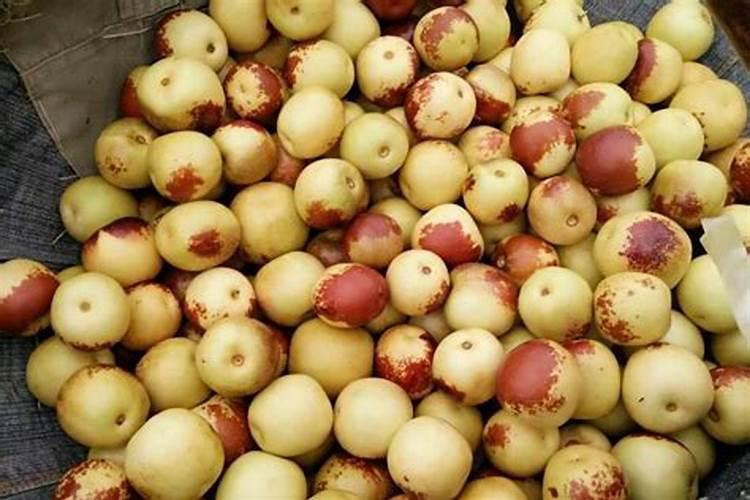 冬枣什么时候用芸苔素最好