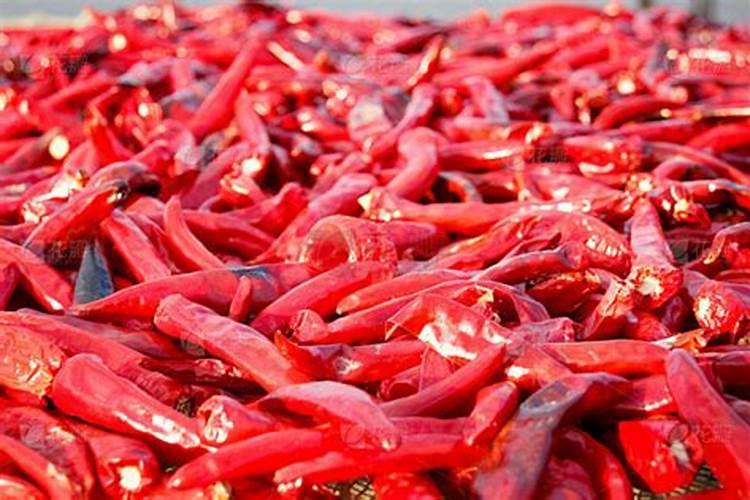 辣椒植株进入盛果期时,为什么需要添加钾肥？