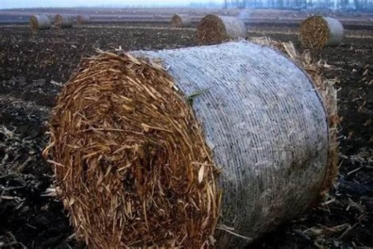 增值税返还优惠政策