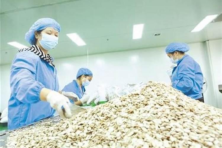 中药材追肥用那种肥料好,牛膝地下茎块膨大素,专用肥料什么牌子的好？