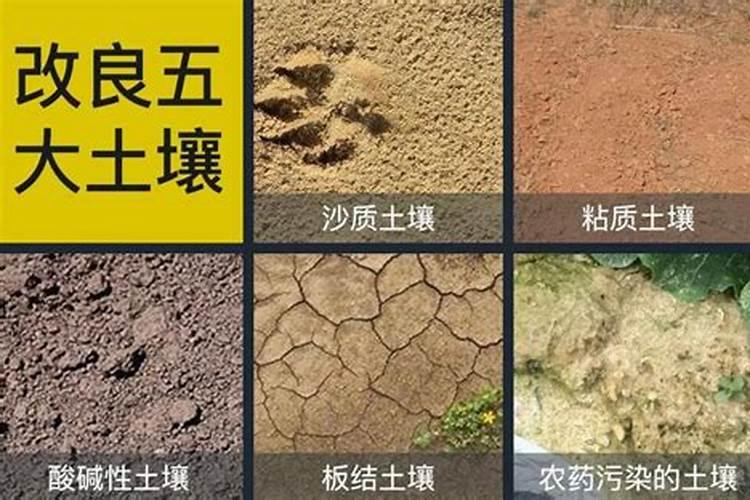 在酸性的土壤环境,我们应该选用什么样的冲施肥