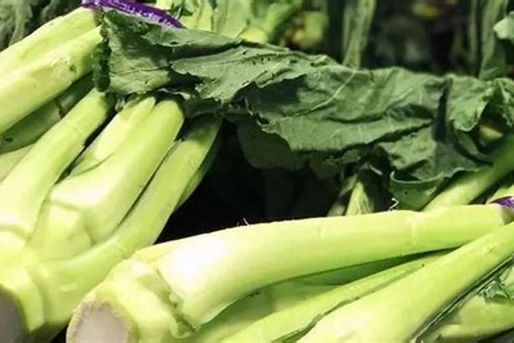 菜心育种在什么时候使肥最好