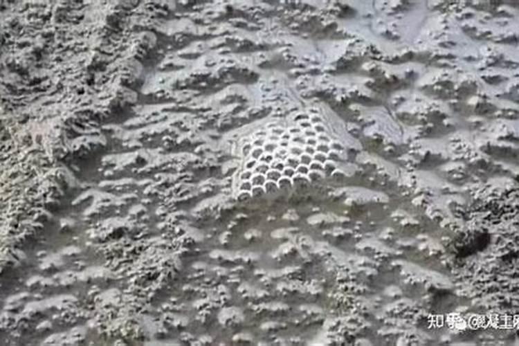 水溶肥化水出现大量泡沫是怎么回事