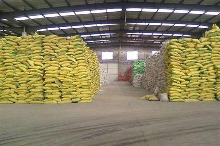 滴水观音、海芋、马蹄莲怎么分