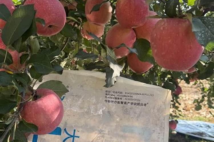 青岛普美斯水溶肥咋样