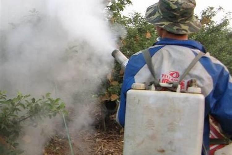 芹菜专用叶面肥哪个品牌好？叶面肥多久用一次？叶面肥价格多少钱？