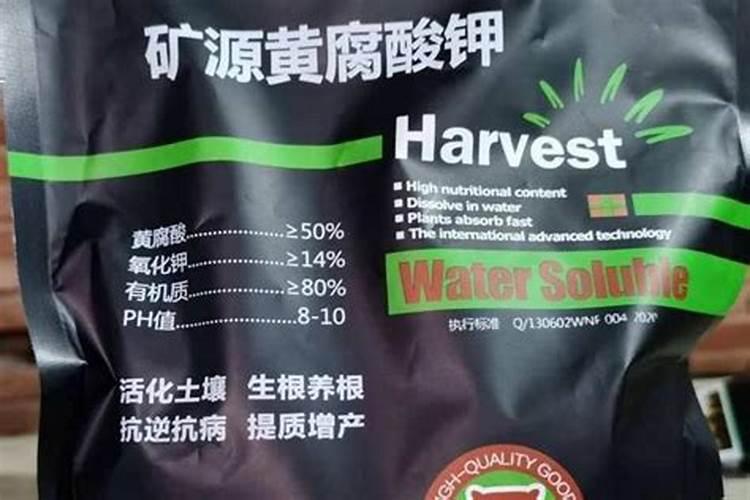 葡萄果期有多久 果期养护与管理方法