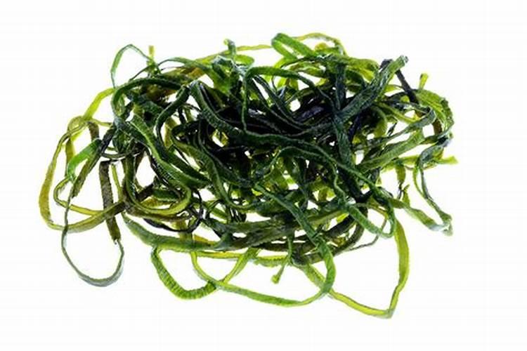 海带减肥法真的能瘦吗 海带减肥食谱