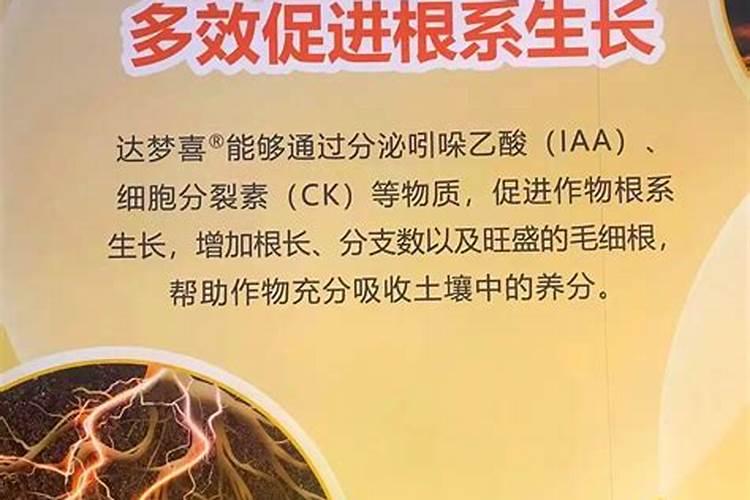 大葱用哪种水溶肥长势好？大葱专用增产叶面肥料？