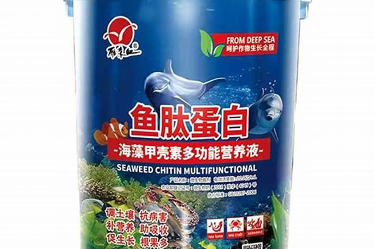 最好的海藻精是哪家