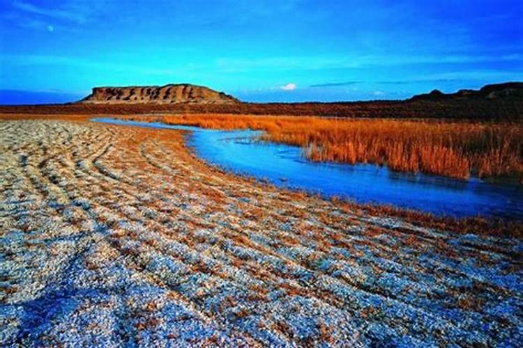 贝壳粉做肥料的好处