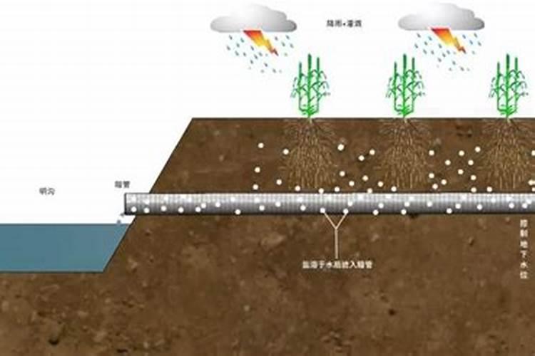 富活素土壤改良剂对沙漠化治理都有哪些作用