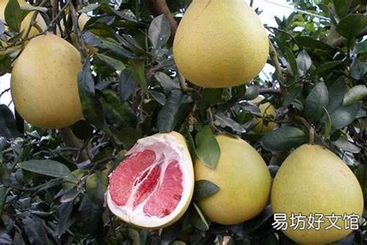 在农作物的生长的时候,它们时怎么补充微量元素的呢？