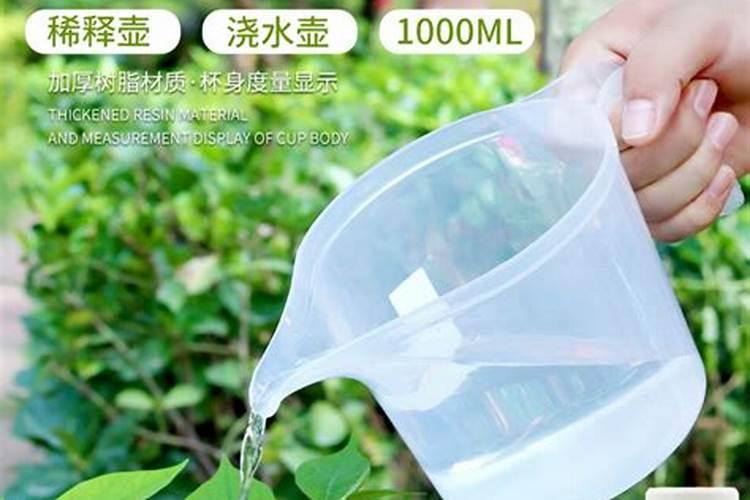 三角梅开花期间怎么施肥施什么肥