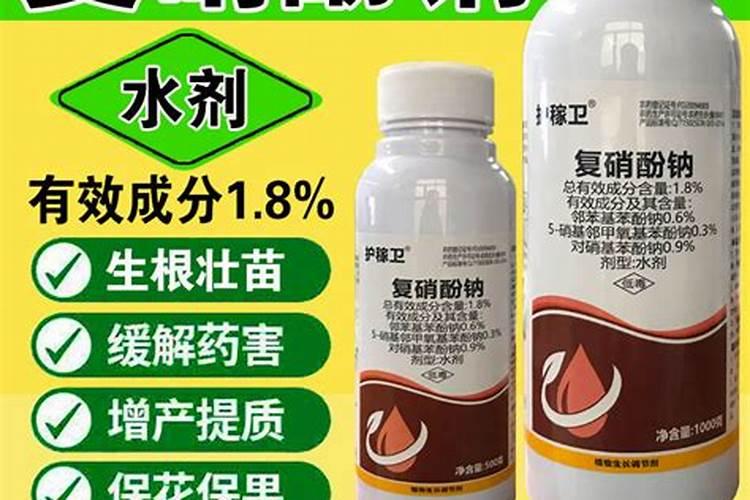 复硝酚钠可以和金大棒,磷酸二氢钾,尿素一起喷施玉米苗儿吗？