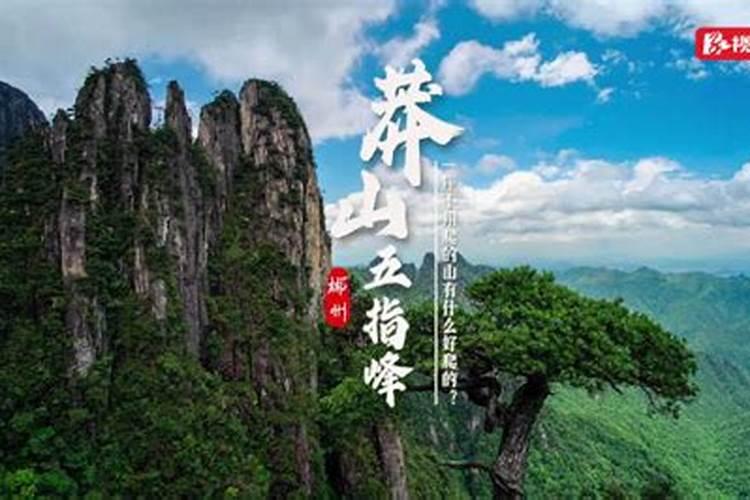 五指山仙人掌怎么养长的好