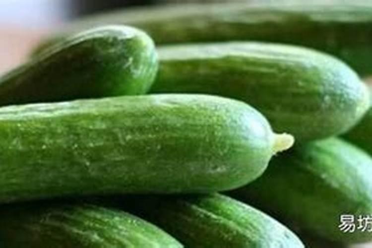 青瓜施什么肥最好