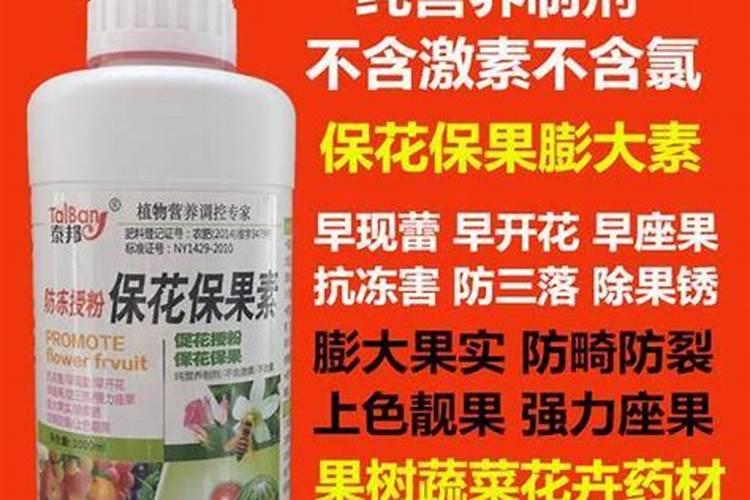 长寿花施什么肥粗壮叶子肥