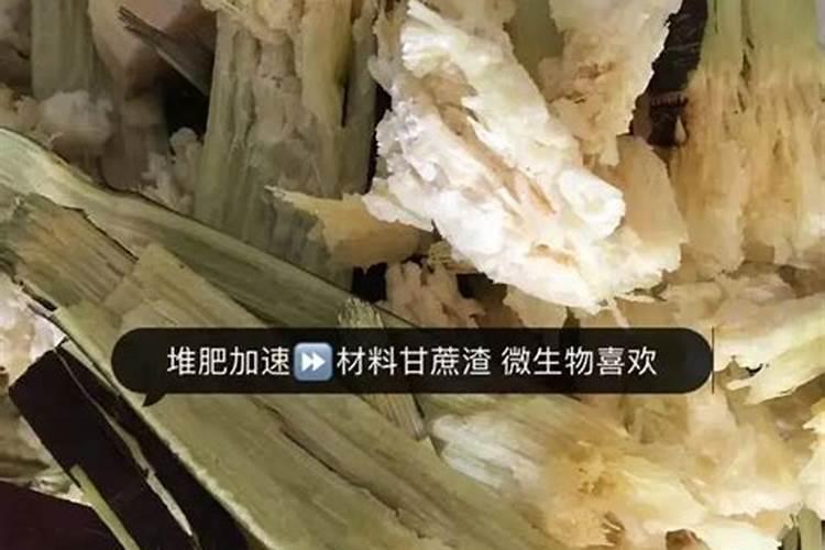 榴莲的栽培技术和方法