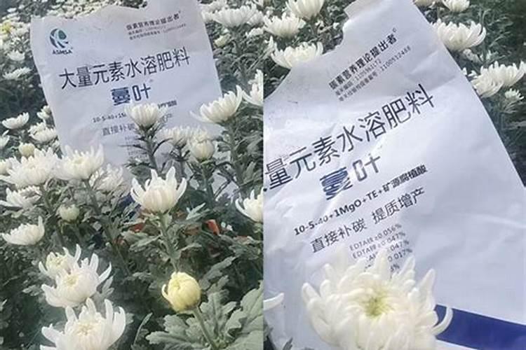 水溶肥是什么成分
