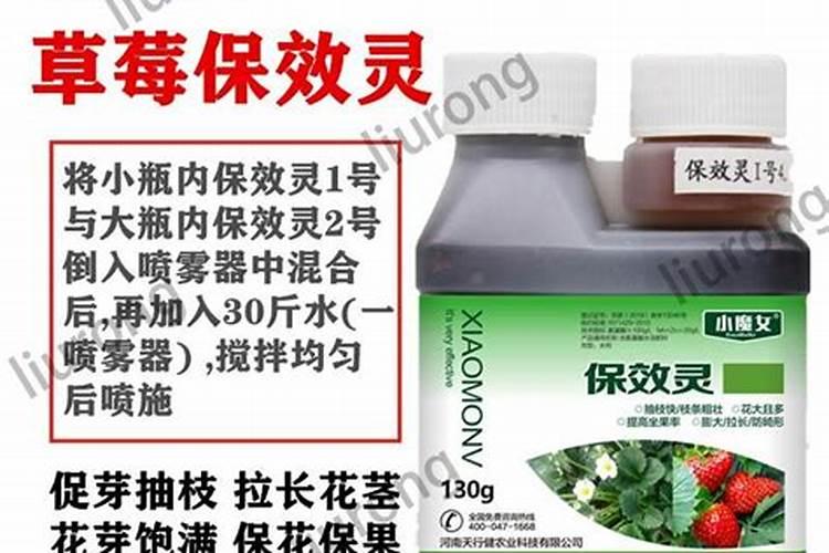 草莓结果期打什么叶面肥长的快？草莓保花保果叶面喷什么好？