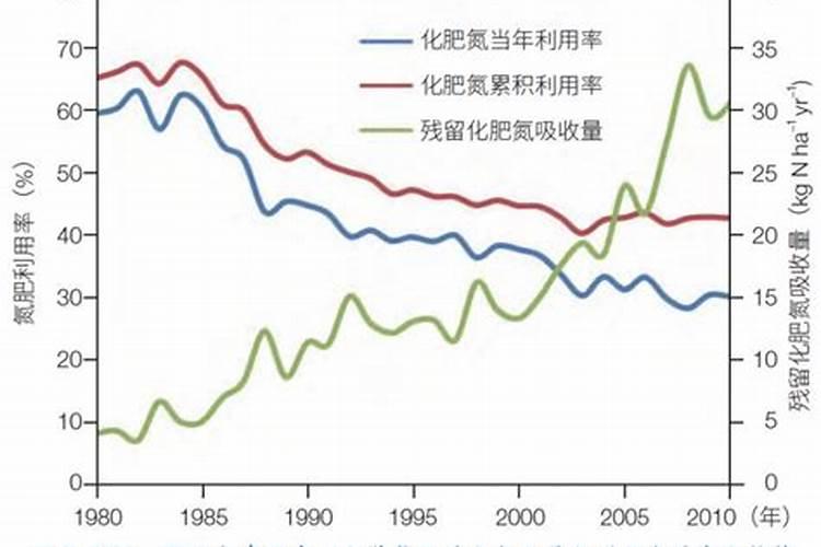 氮肥利用率 氮肥是尿素肥吗