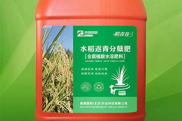促分蘖水稻调节剂有哪些