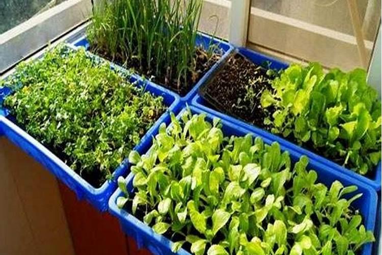 磷肥用于什么农作物 附使用方法