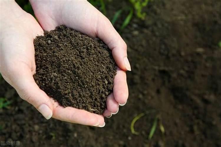 有机质、腐殖质、腐植酸到底有啥区别？