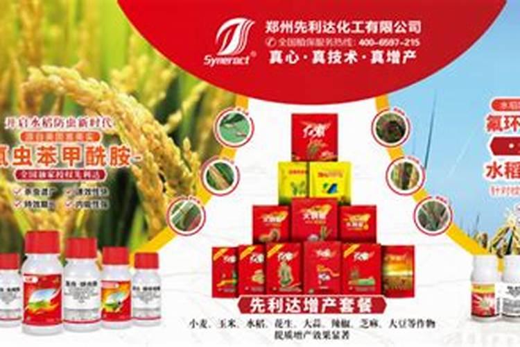 碧护水稻最佳使用时间