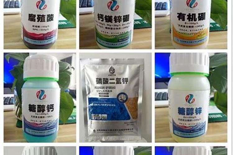 广柑什么季节成熟